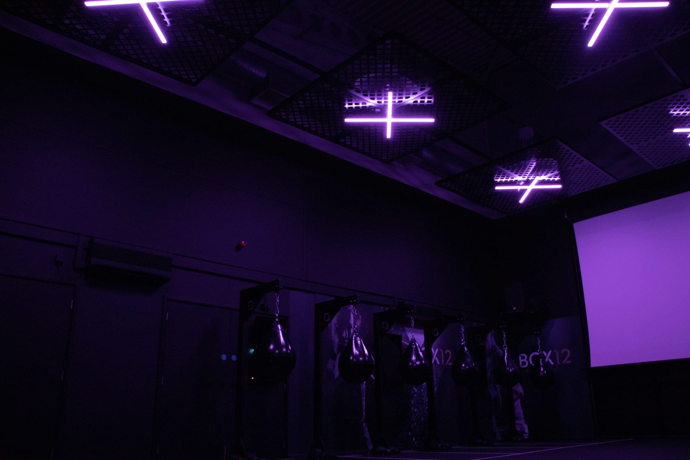 BOX12 boxing studio bathed in deep purple lighting with branded bays and glowing projection screen