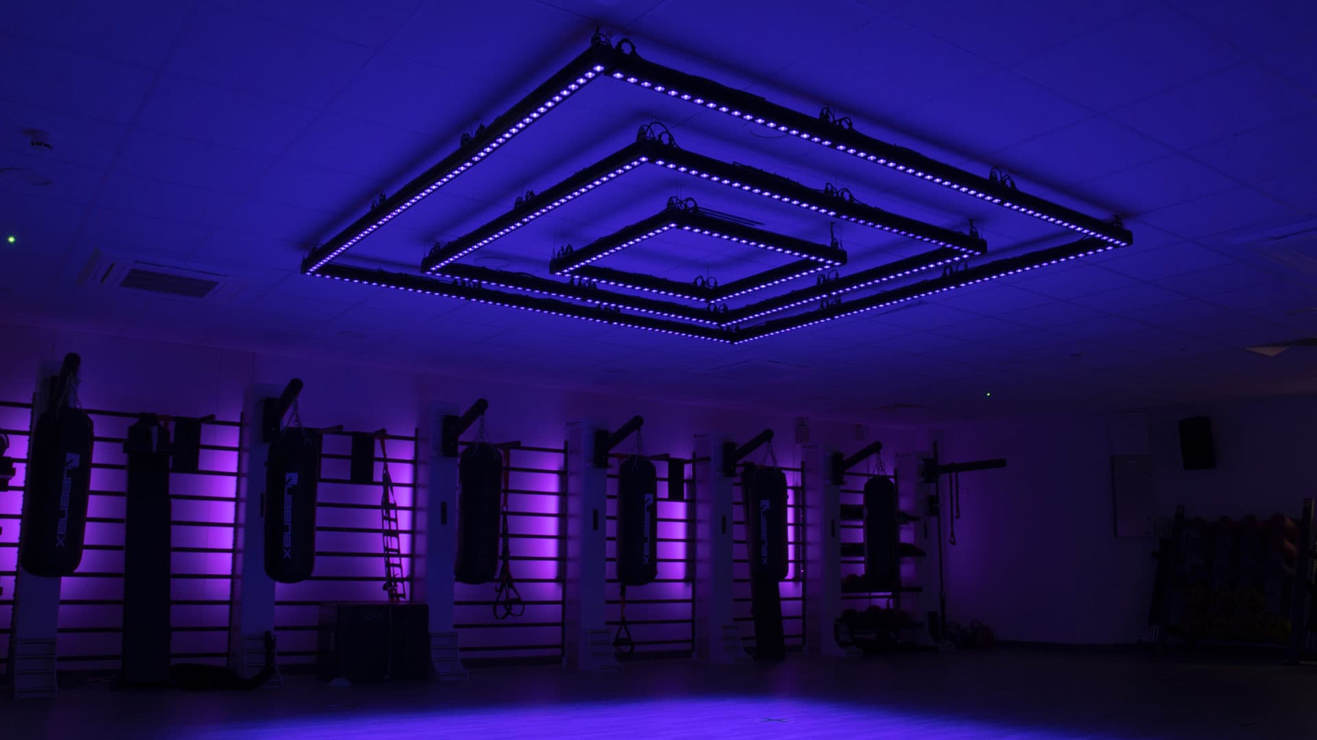Gym in deep blue-purple mood with ceiling LED rig and punch bags in silhouette