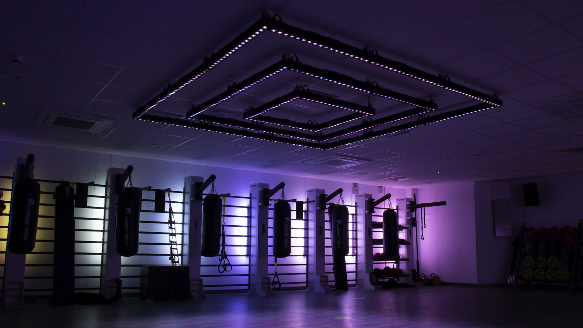 Full gym with blue-to-purple transitioning ceiling rig over punch bag stations