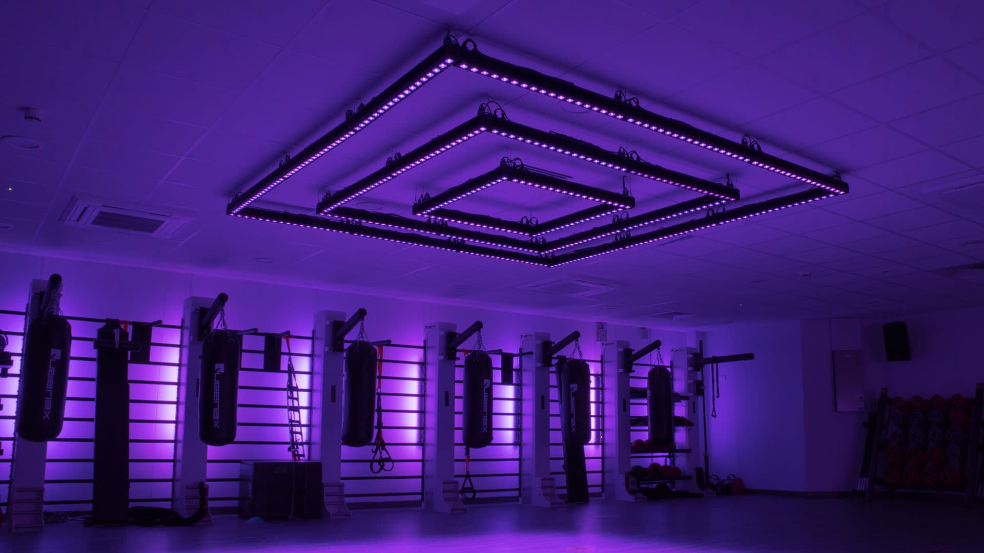 Gym-wide view flooded in uniform purple LED light across all punch bag stations